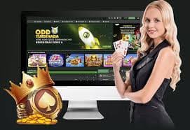 win678dd